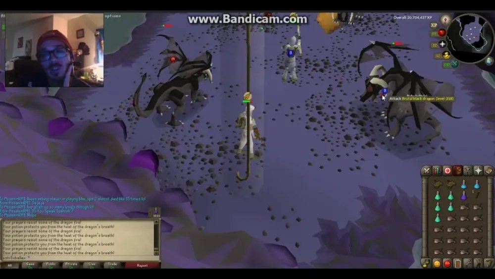 Everything You Need to Know About Black Brutal Dragons in OSRS - OSRS
