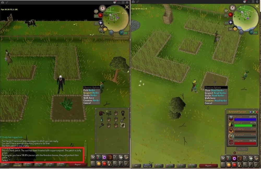 Everything You Need to Know About Farming Herb Patches in OSRS OSRS