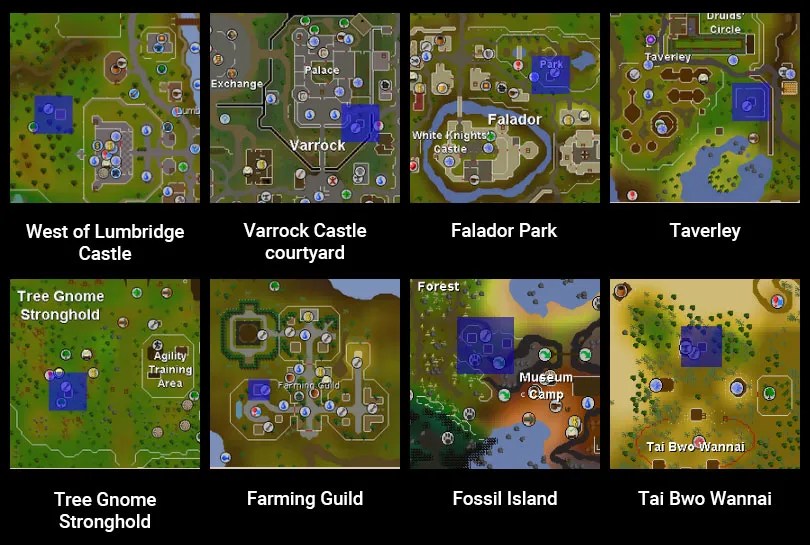 OSRS Tree Growth Stages A Comprehensive Guide OSRS Money Making Guide
