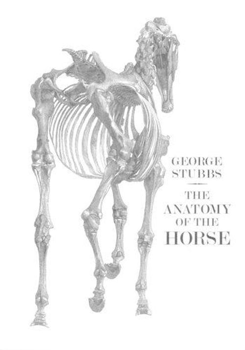 NEW The Anatomy of the Horse by Stubbs Paperback
