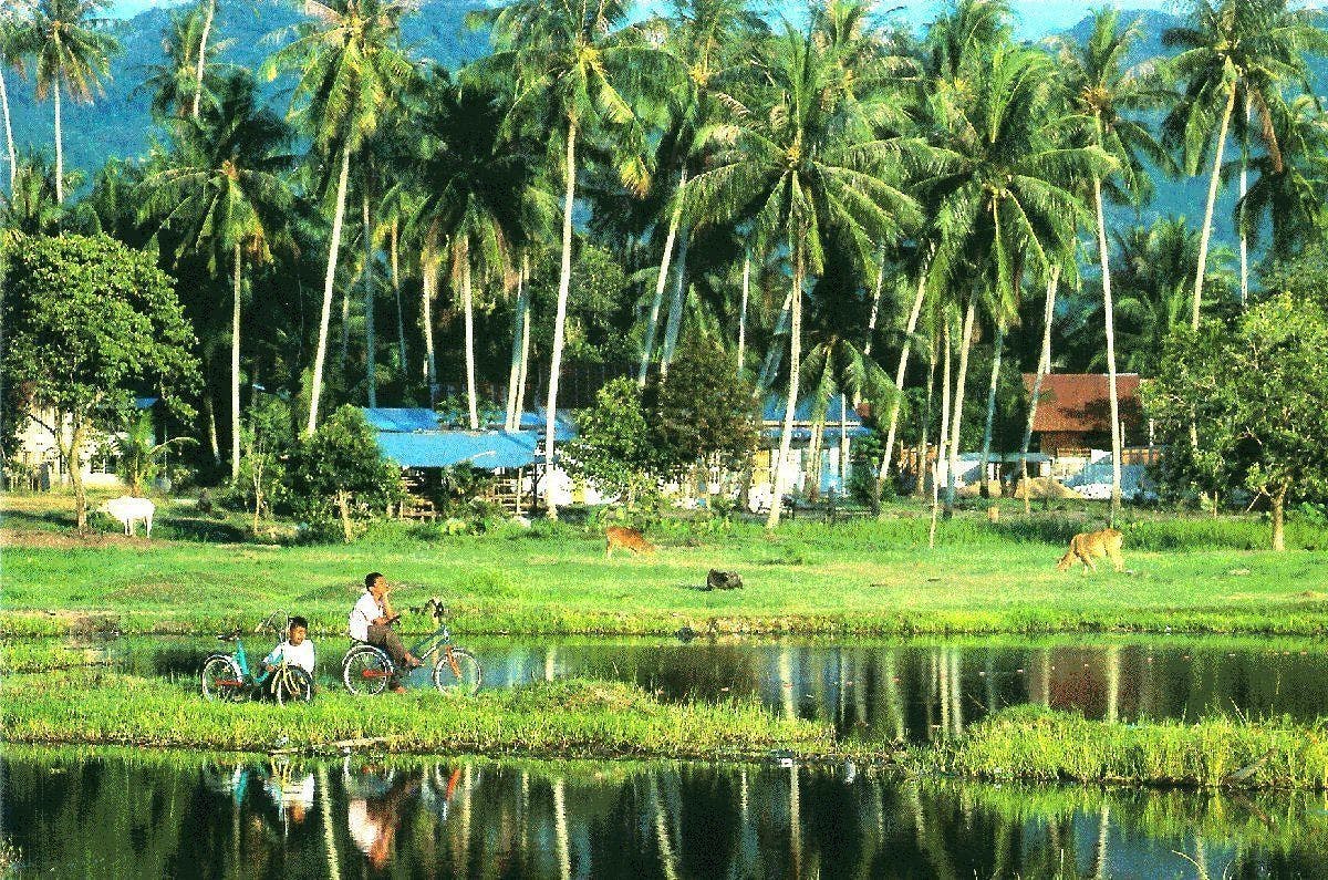 Entopia Penang Ticket Price Entopia Butterfly Park