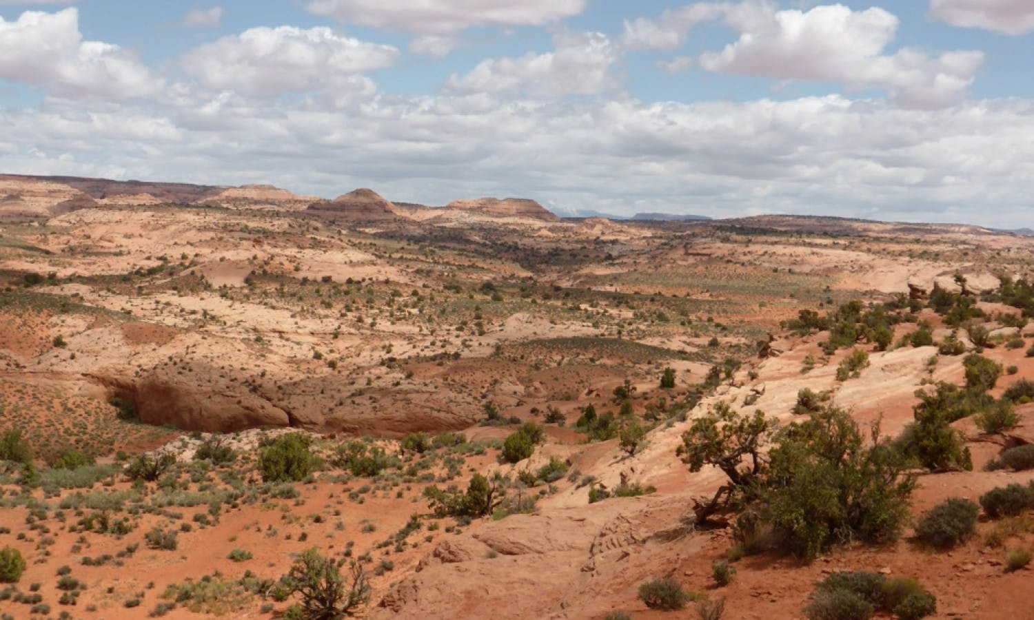 Driving across America Part seven Petrified Forest State Park
