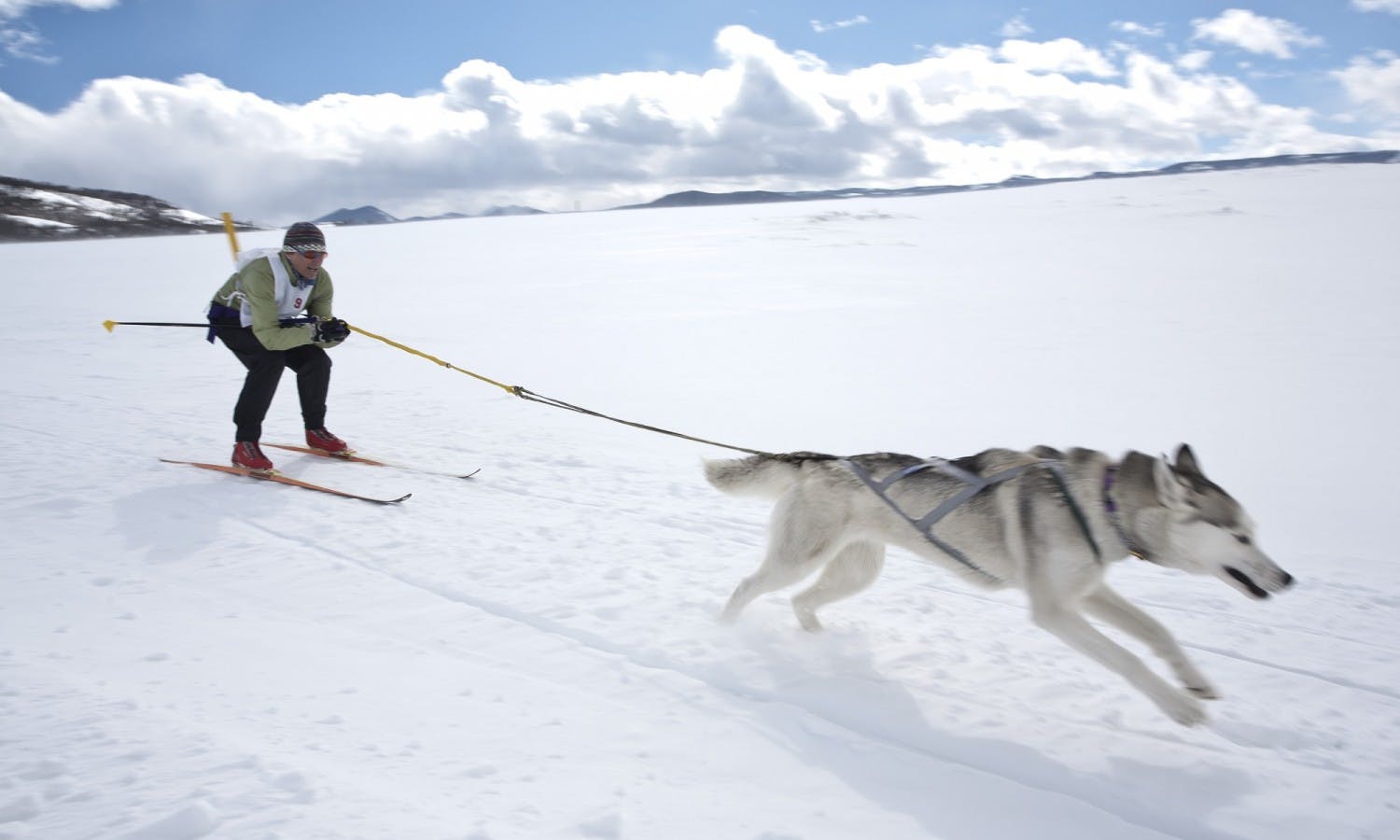 Five unusual winter activities Musement