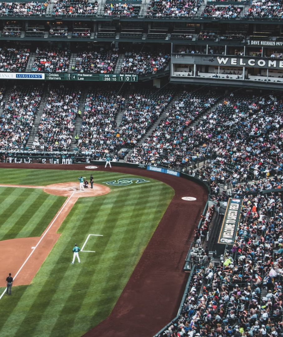 Join The Fun At The Baseball Stadium In Korea