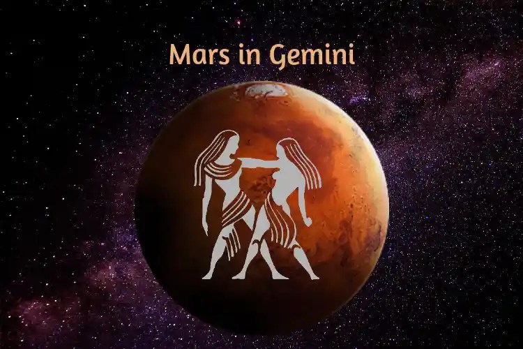 Rabbit Chinese Zodiac Meaning, Personality, Year & Best Match