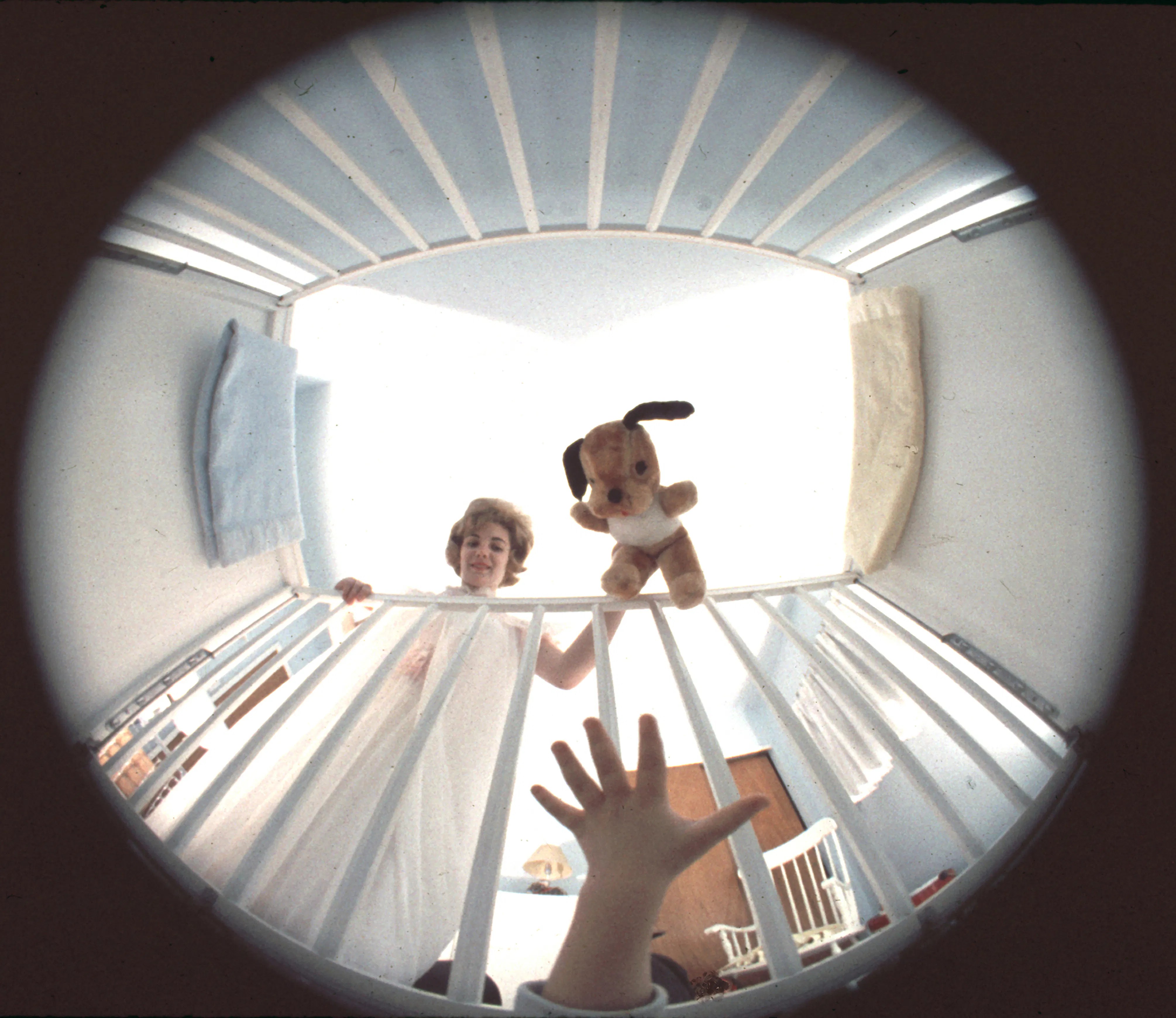 Beyond the Motherhood Memoir