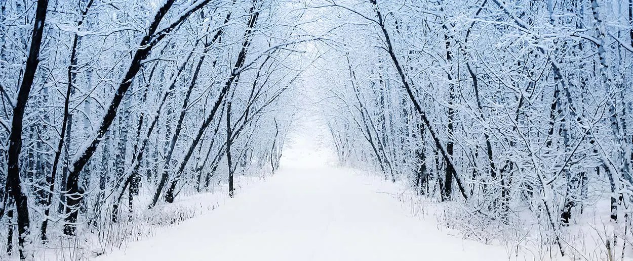 Robert Frost A Winter Eden and Stopping By Woods On A Snowy Evening