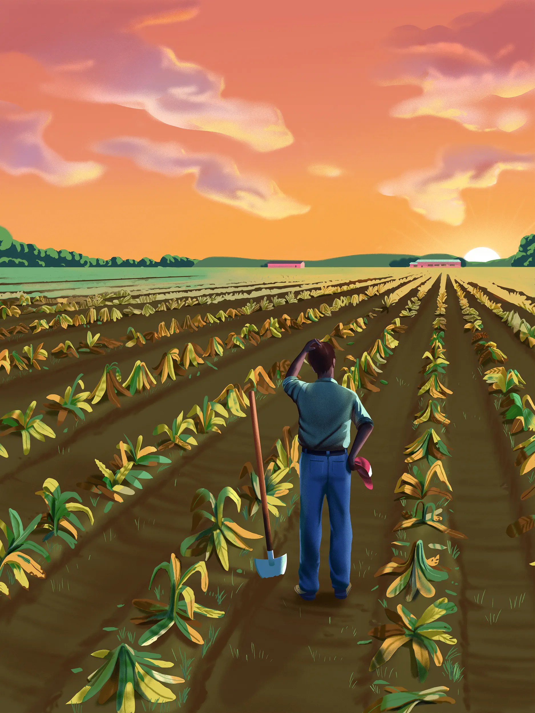 Resolved The U.S. Should Stop Growing Tobacco The New Republic