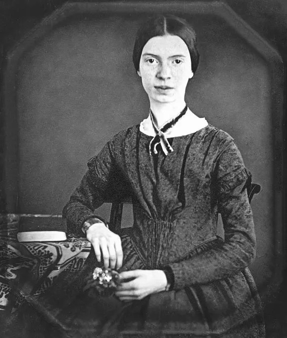 Emily Dickinson A Collection Of Critical Essays