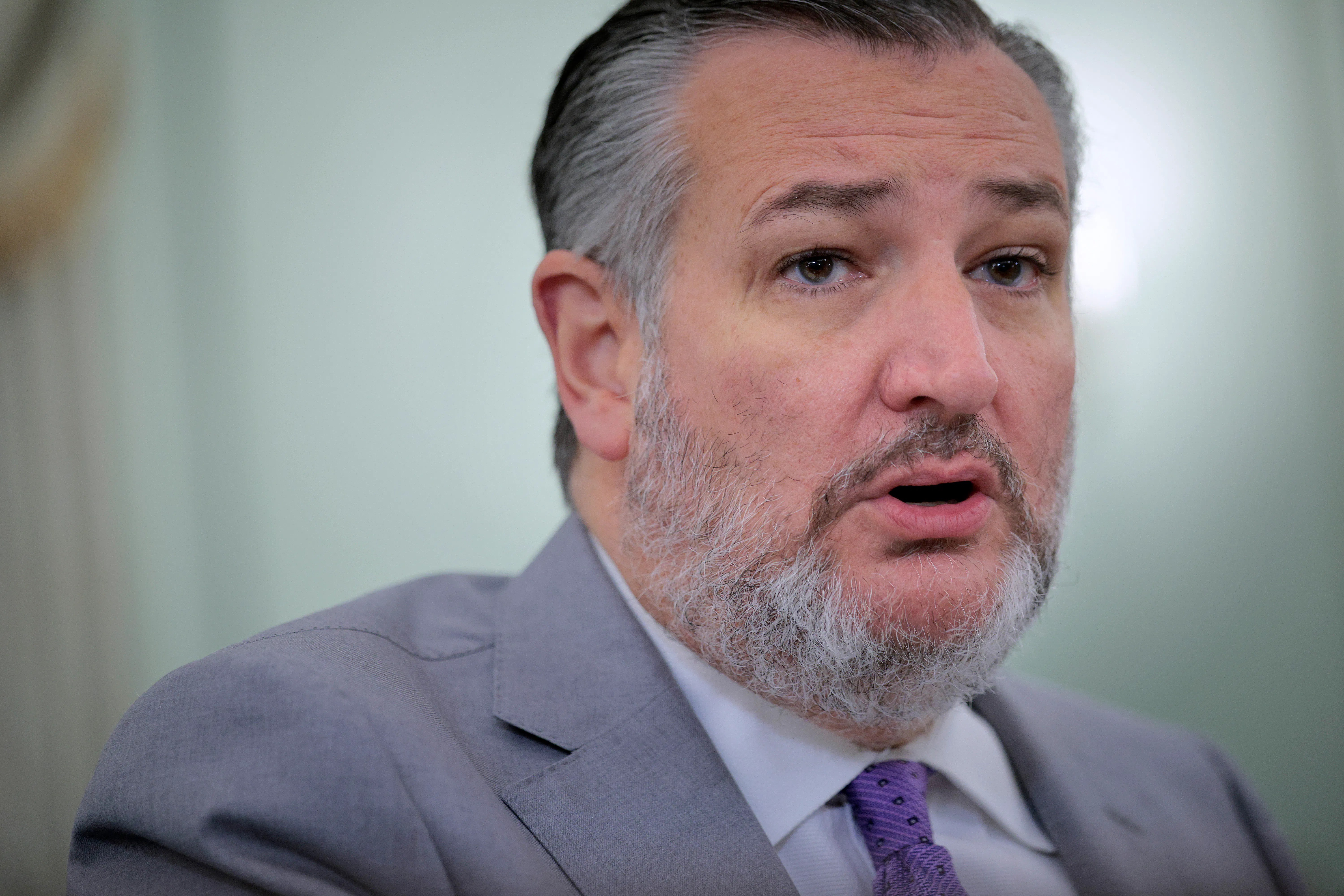 Ted Cruz Warns GOP of “Political Peril” After No Kings Protests