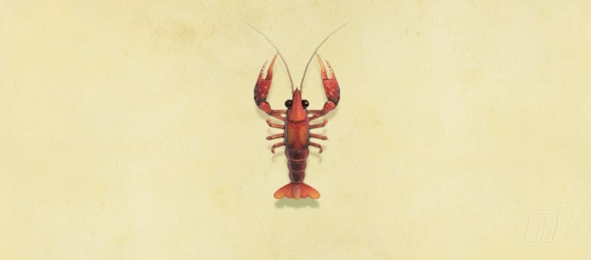 Animal Crossing New Horizons Fish Complete Fish List, Fishing Tips