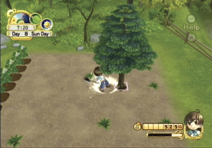 Harvest Moon Tree of Tranquility (Wii) Screenshots