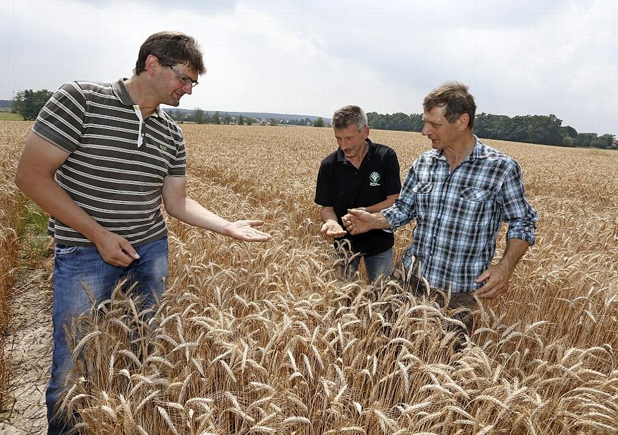 Herzogenaurach Bauern demonstrieren vor der AldiFiliale