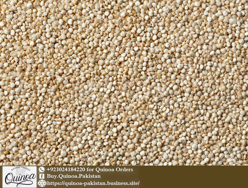 Quinoa Pakistan Buy Organic Quinoa in Pakistan Lahore & Karachi Gym & Fitness 1018642638