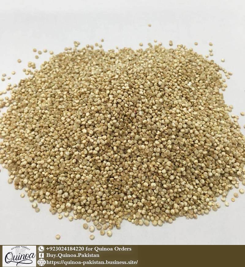 Quinoa Pakistan Buy Organic Quinoa in Pakistan Lahore & Karachi Gym & Fitness 1018642638