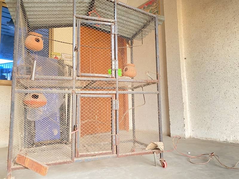 bird cage for sale Parrots 1073002399