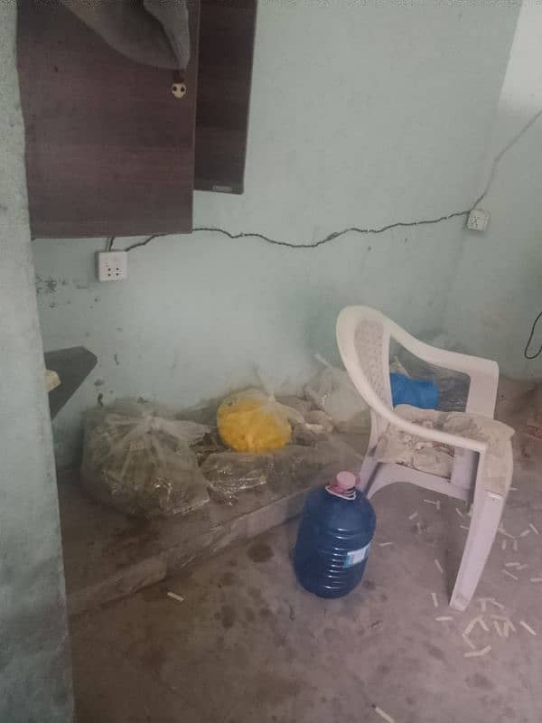 Mustard Oil Running Business For Sale Other Businesses 1094559319