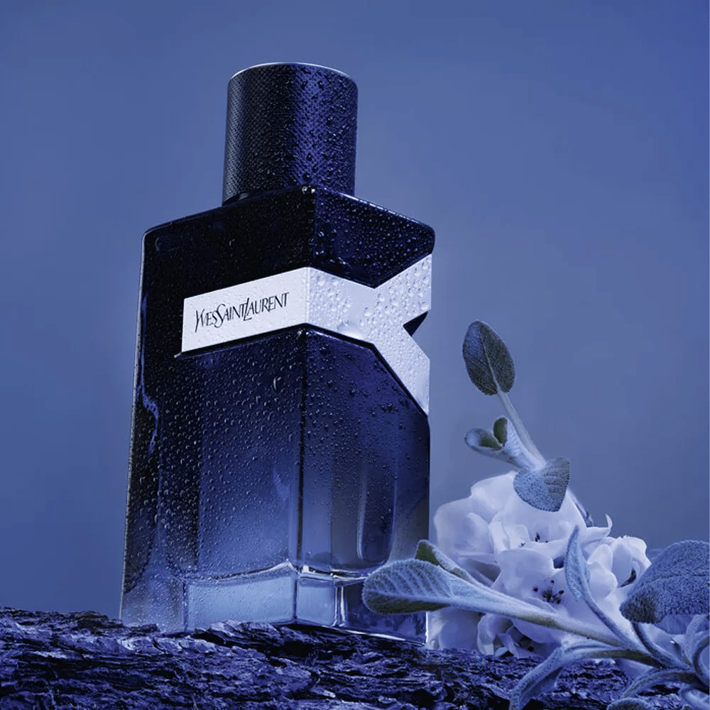 The 15 Best Long Lasting Perfumes for Men in 2024 OPUMO Magazine