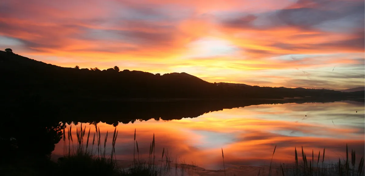 The Most Expensive Cities in California Right Now OPUMO Magazine