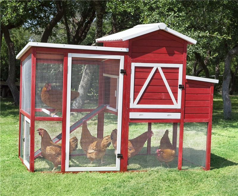 Agway chicken coop