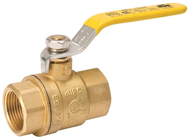 Mueller ProLine Full Port Heavy Duty Ball Valve, 1 in, FPT, 600 psi WOG