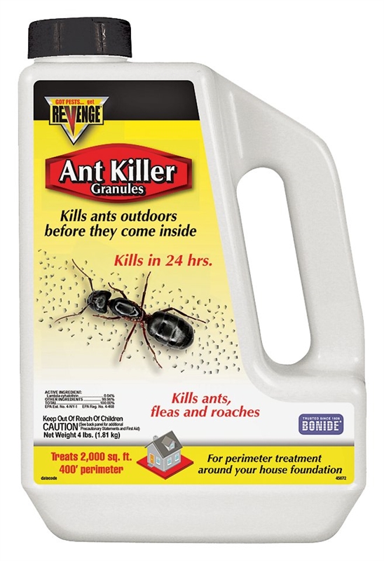 Top 10 Ant Control Services Near Me Angi