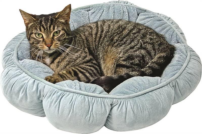 Aspenpet 27459 Pillow Pet Bed, 18 in Dia, 18 in L, 18 in W, Puffy Round