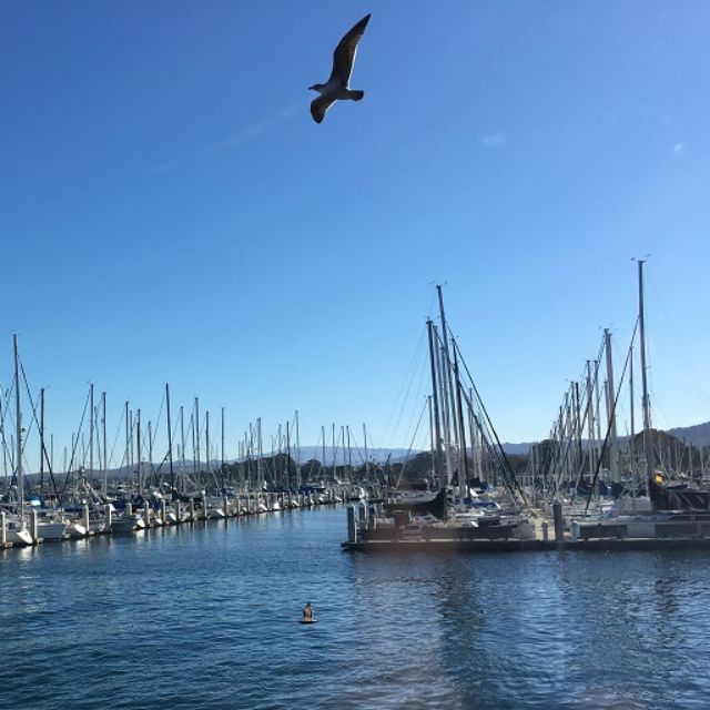 Scales Seafood & Steaks Restaurant Monterey, CA OpenTable