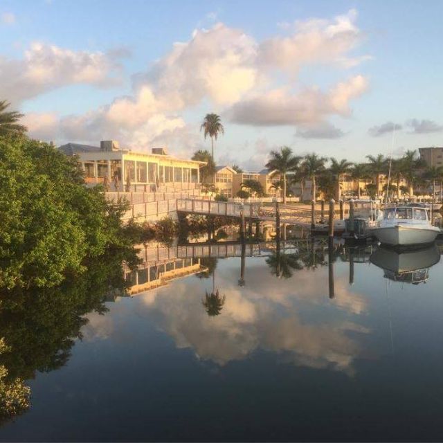 Salt Rock Grill Updated 2024, Seafood Restaurant in Indian Shores, FL