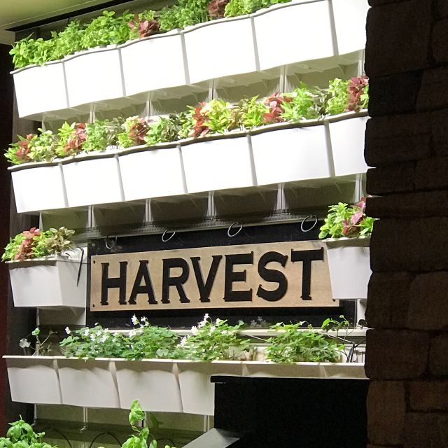 Harvest Seasonal Grill & Wine BarRadnor Restaurant Radnor, PA