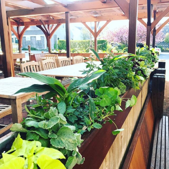 Island Kitchen Nantucket Lunch Menu Wow Blog