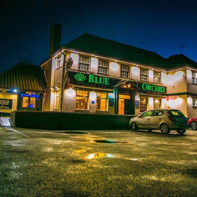 Blue Orchid Restaurant and Bar Northolt, Middlesex OpenTable