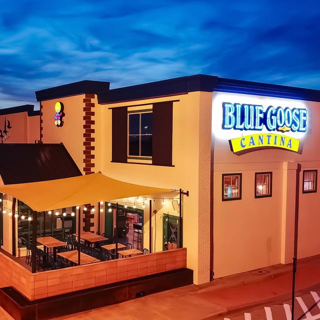 Blue Goose Cantina Plano Restaurant Plano, TX OpenTable