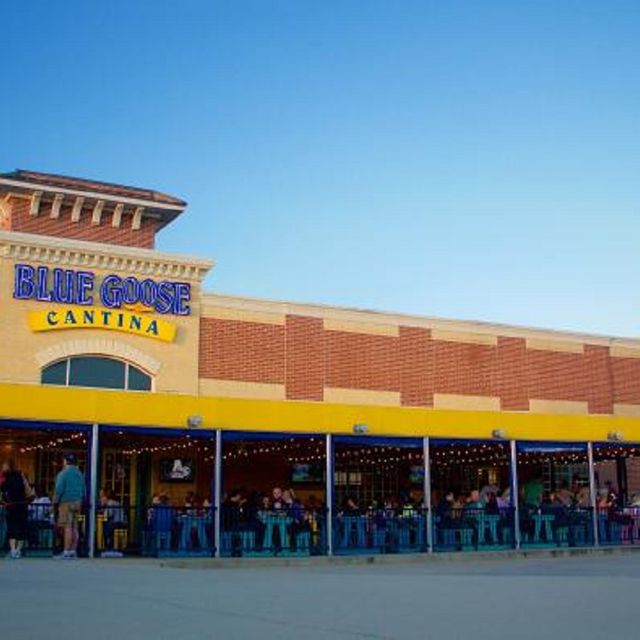Blue Goose Cantina Frisco Restaurant Frisco, TX OpenTable