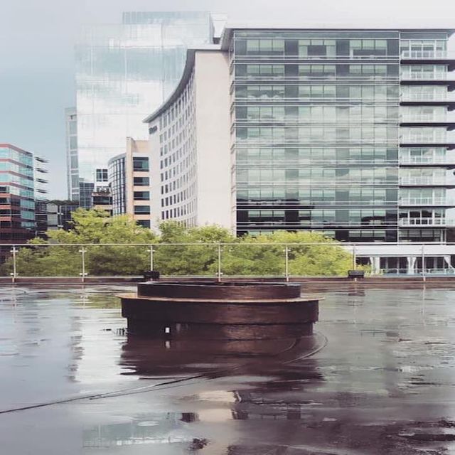 Rose Rooftop & Restaurant Updated 2024, Bar And Lounge in The