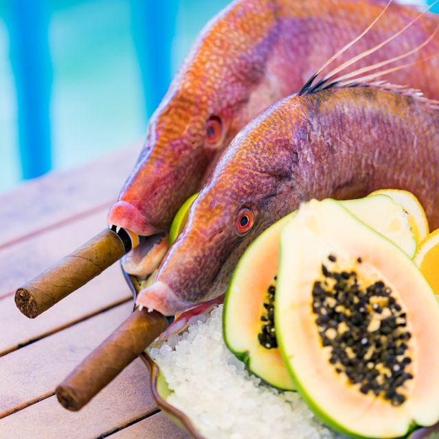 Hogfish Harry's Updated 2024, Café in Naples, FL