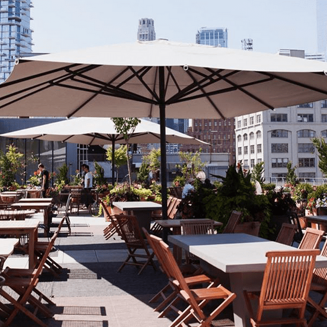 Spring Place Updated 2024, Contemporary American Restaurant in New