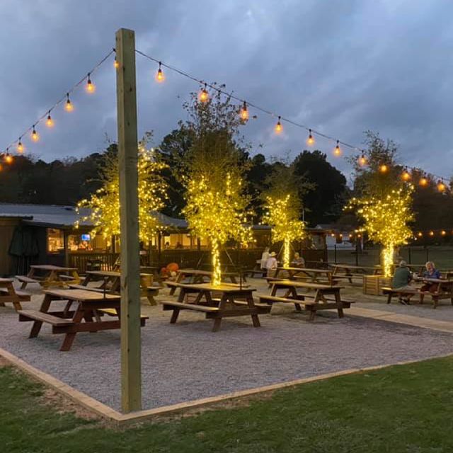 Restaurante The Cove at Lake Cypress Springs Mount Vernon, , TX