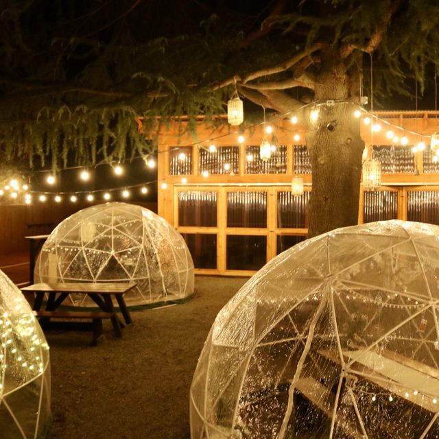 Winterfest at The Goodyear House Restaurant Charlotte, NC OpenTable