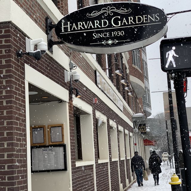 Harvard Gardens Restaurant Boston, MA OpenTable