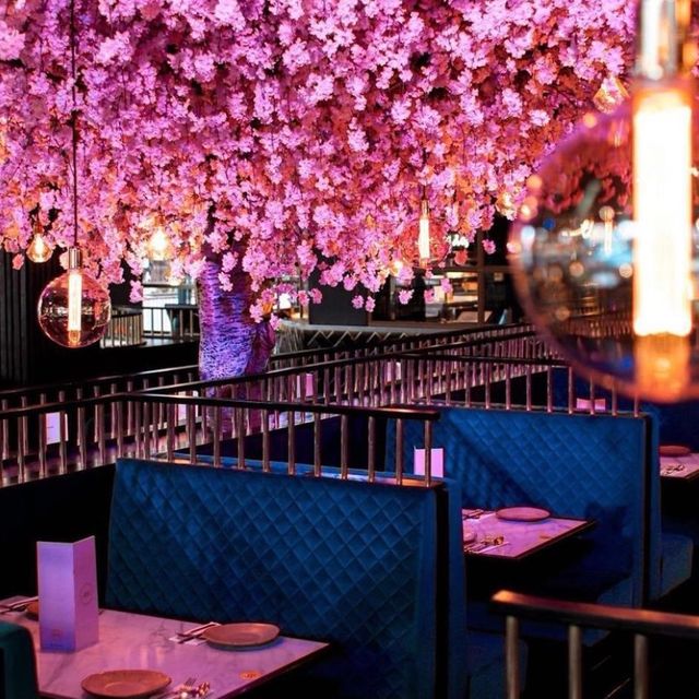 Oodles N'Oodles Manchester Restaurant Manchester, Greater Manchester