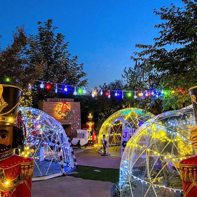 Christmas 2022 Dinner Sedona Shadowrock - Sedona, Az | Opentable