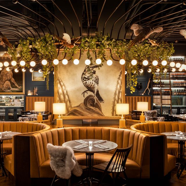 Wren & Wolf Restaurant Phoenix, AZ OpenTable