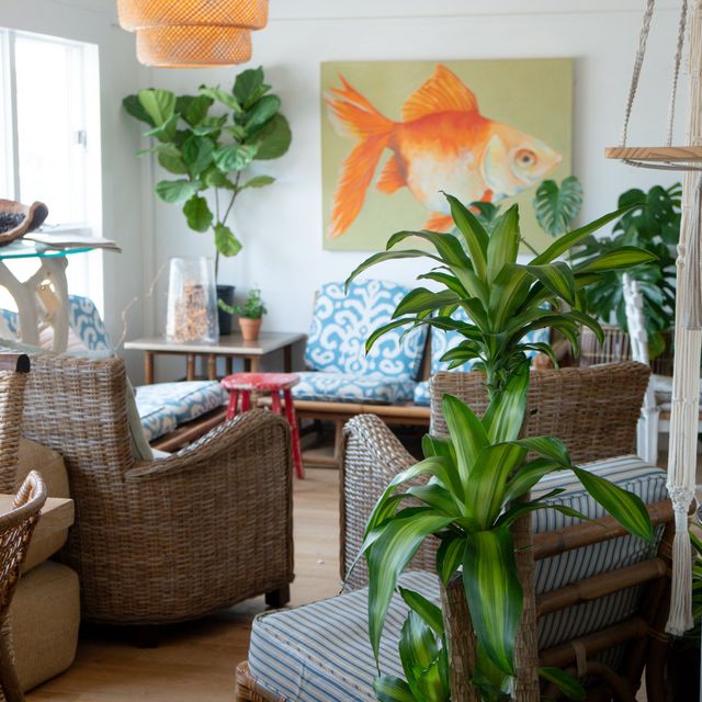 Birdy's Cafe Book now on OpenTable