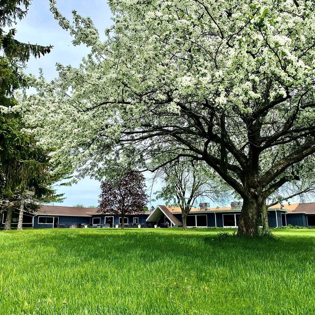 Watertown Country Club Updated 2024, American Restaurant in Watertown, WI