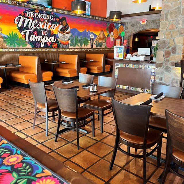 Don Julio's Authentic Mexican Cuisine Tampa Palms Restaurant Tampa