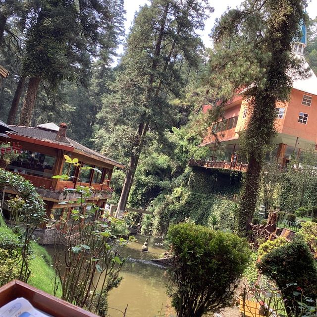 La Escondida Restaurant Toluca, MEX OpenTable