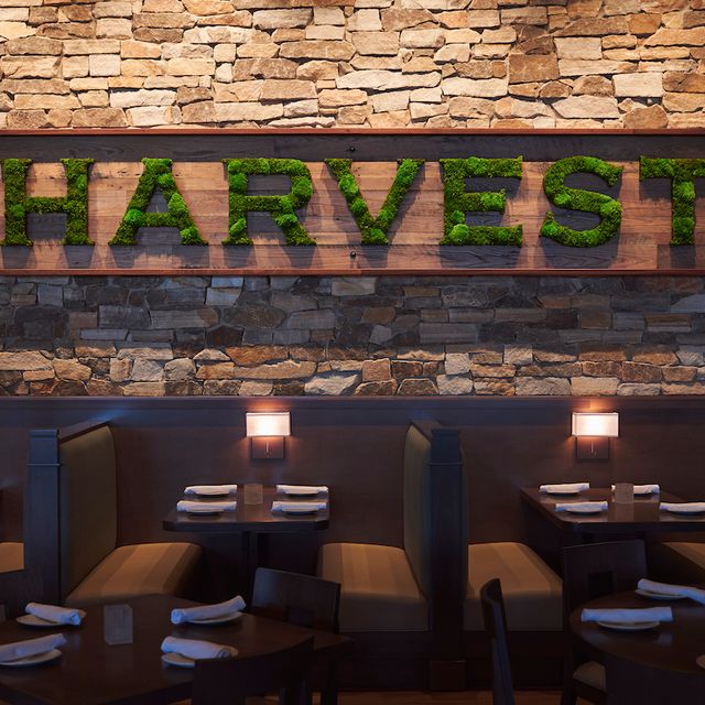 Harvest Seasonal Grill Collegeville Updated 2024, American