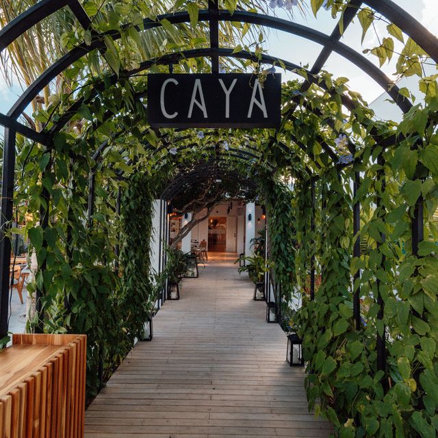 CAYA House Aruba Restaurant Noord, Aruba OpenTable