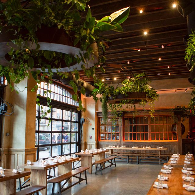 Ainslie Bowery Restaurant New York, NY OpenTable